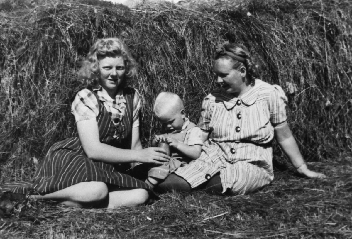 Slåttonn i Grønvik, Å i Senja, Tranøy 1944