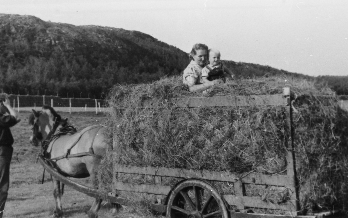 Hest med høyvogn, Grønvik, Å i Senja 1944