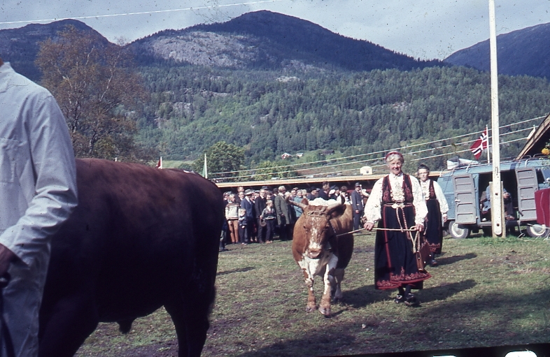 Borghild Glosimot med Telemarksku.