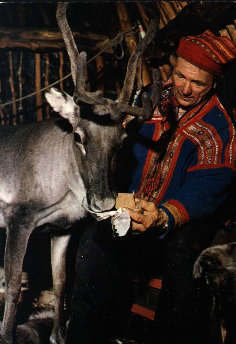 Postkort, Norsk Folkemuseum. Same mater reinsdyr.