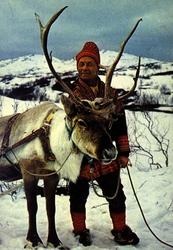 Postkort,  Norsk Folkemuseum. Fjellparti, same med reinsdyr.