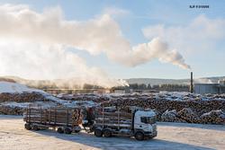 Tømmerbil i venteposisjon ved tømmermålingsanlegget til trel