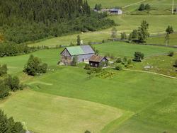 Kulturlandskap. Småbruk. Liten tømmerbygning. Kjøkkenhage. L