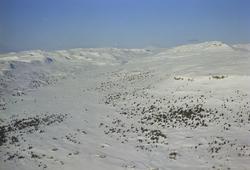 Skeisleitet oversiktsbilde, Skeikampen vest, Gausdal