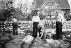 "En hage blir til, våren 1937".