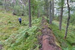 Gamle røyrgata frå Bjørkedalsdammen med treoverbygg, seinare