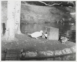 Høst St. Hanshaugen