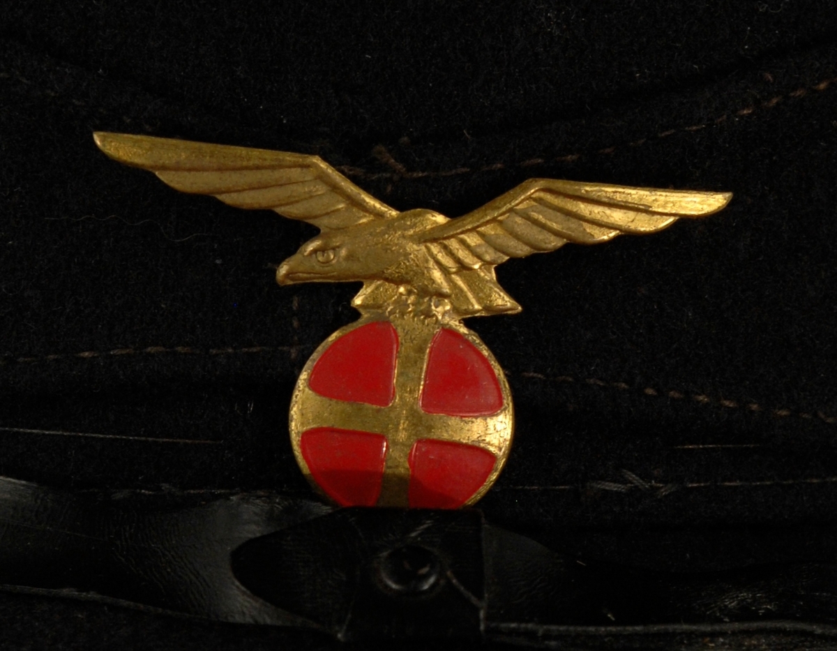Liten nål hvor motivet er en ørn i gull på toppen av en rød runding med et gullkors.