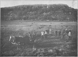 Skuronn på Drilen, Bjugn