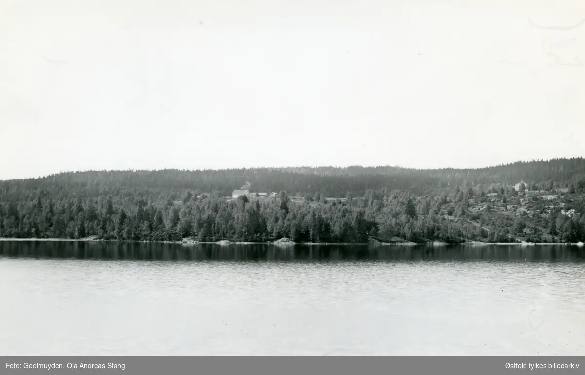 Sundsrud skog (?) i Rømskog, ca. 1890.
