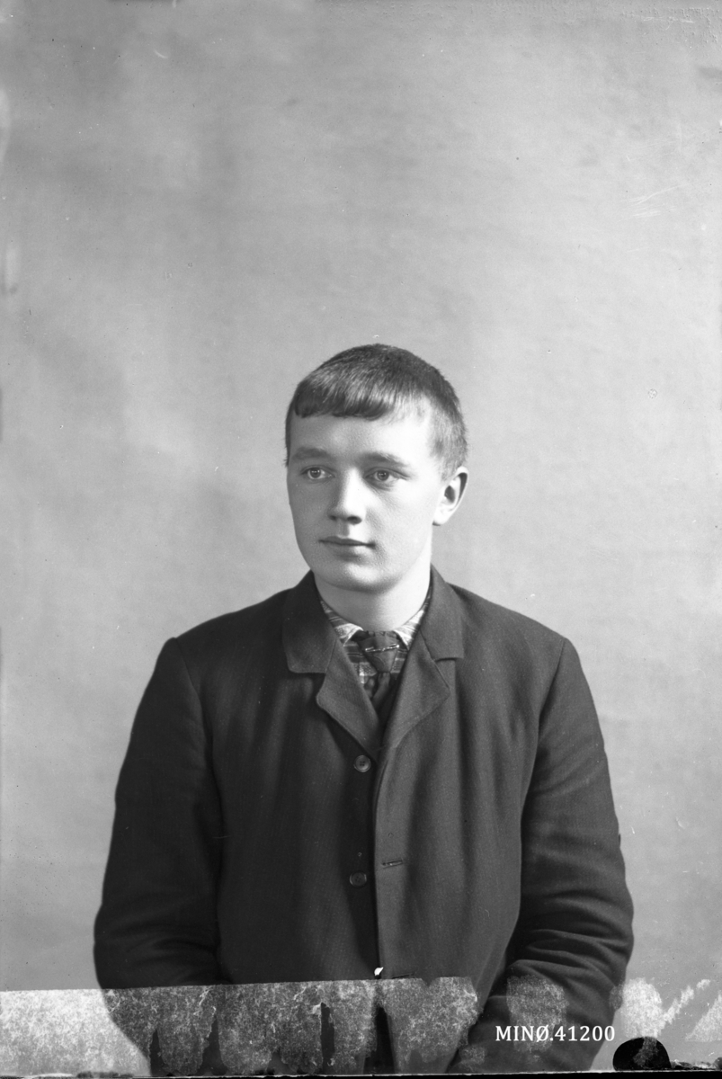 Portrett av ung mann, Einar Schanke