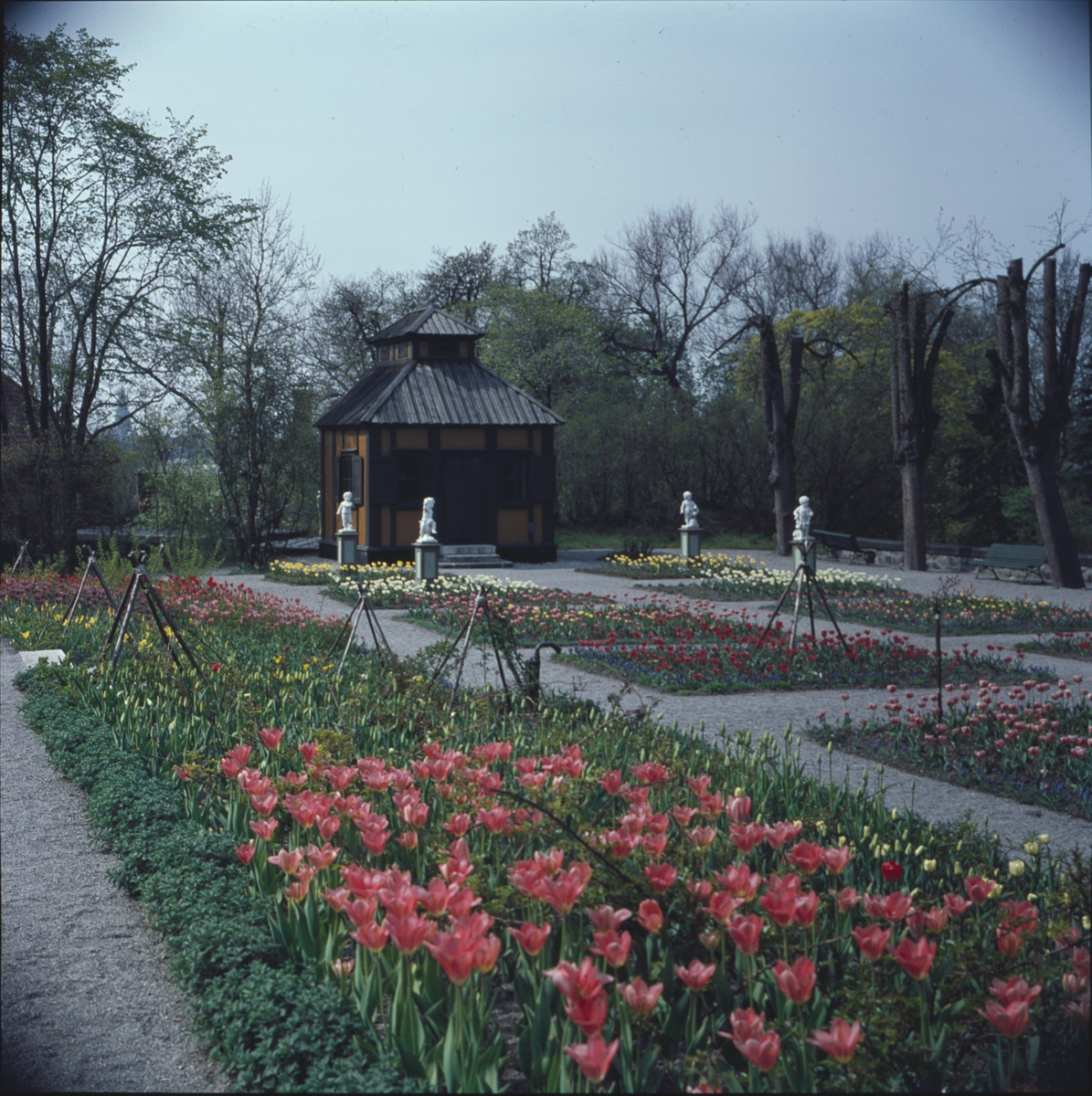 Blommande vårblommor i Rosenträdgårdens välskötta rabatter. I bakgrunden beundrar Swedenborgs lusthus fyra figurer som dansar i den färgrika blomsterprakten.