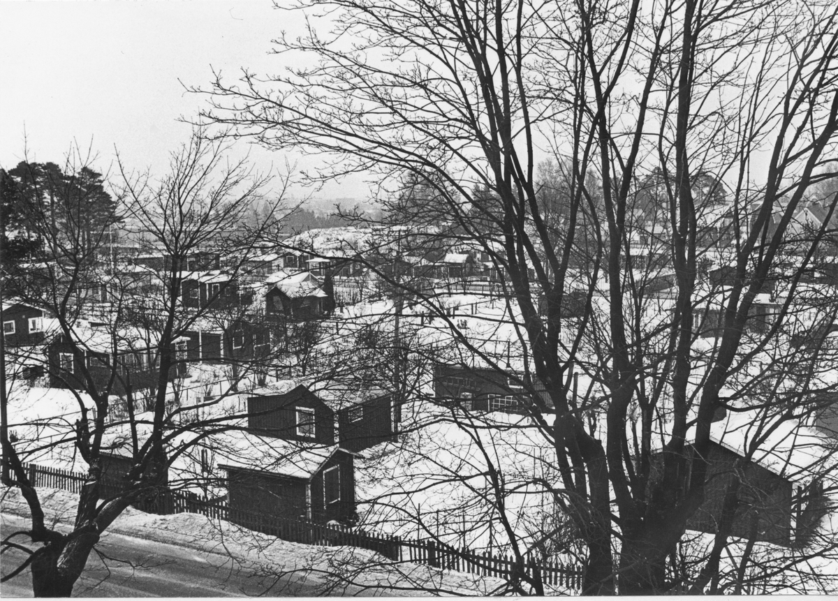 Utsikt över koloniområdet från skolan.
Bäckebro koloniområde 1976-1977