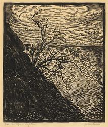 Rogntre i Lofoten [Grafikk]