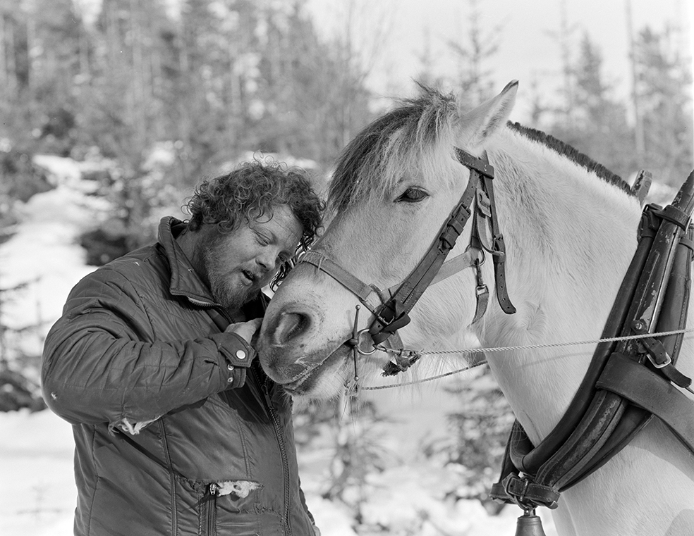 Tømmerkjøring, med hest, "Trollheimen" i Løten Almenning, hestekar Paul Nordvold. Skogsarbeid, tømmerhogst, hesteredskap, bukk og geit.