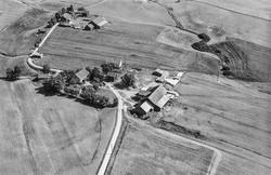 Gården Engen i Eidsberg, flyfoto 4. august  1951.