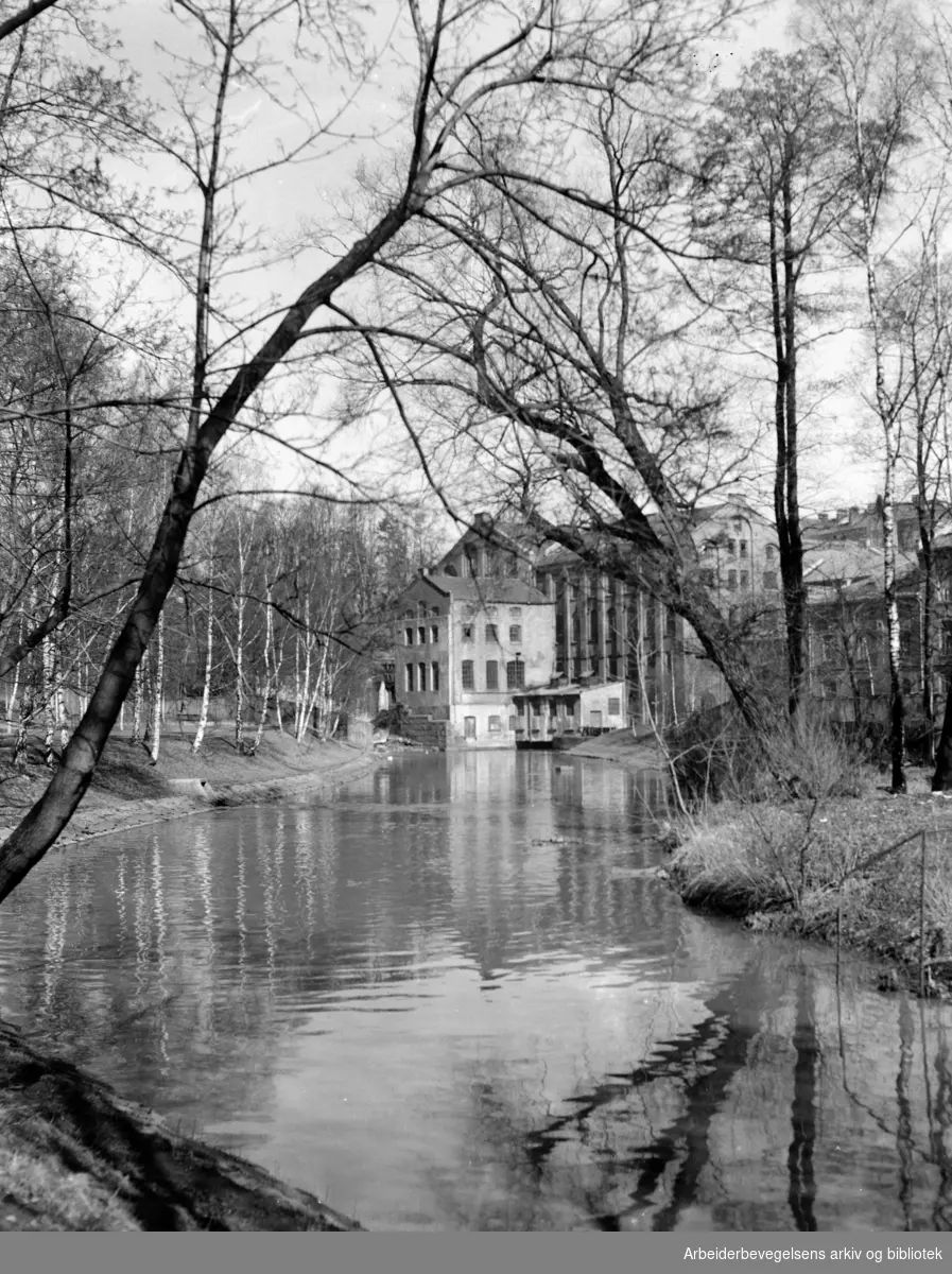 Akerselva ved Seildugen. Seildugsdammen. April 1956