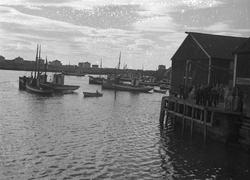 Fra Sula, Nord-Frøya og Knarrlagsund, Hitra