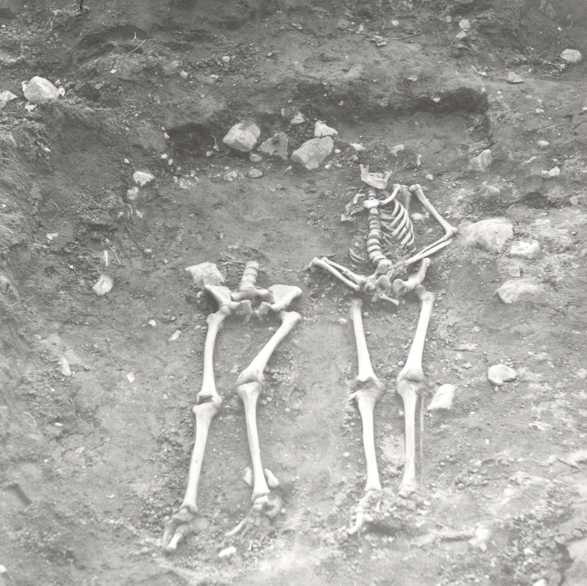 Skelett, foto från NO.
Foto:Gunnel Forsberg oktober 1965.