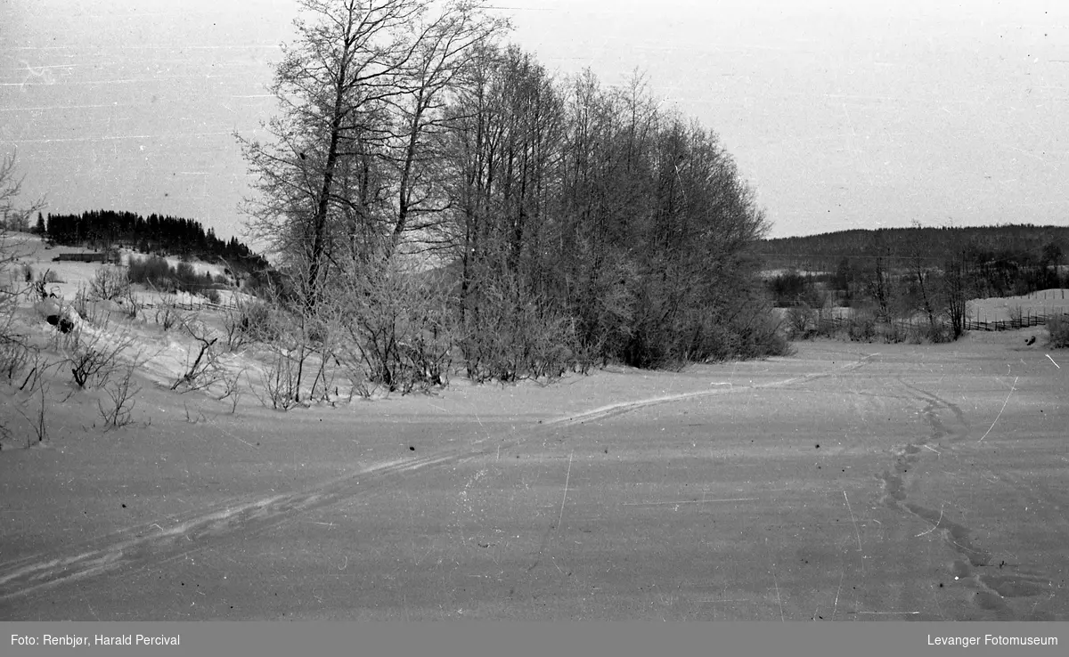 Vintermotiv i Levanger.