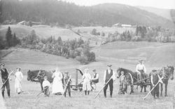 Høyonn, hester, personer, ljå, slåmaskin.