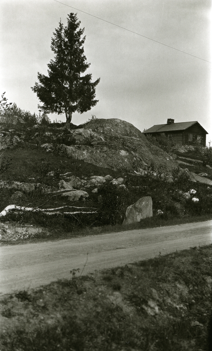 Hus, Ljøstad (Lyseggen), Engemoen, på toppen av steinete bakketopp (til høyre). Hustak skimtes helt til venstre. Tre (gran) midt i bildet (på toppen av bakken). Landsvegen i forgrunnen.