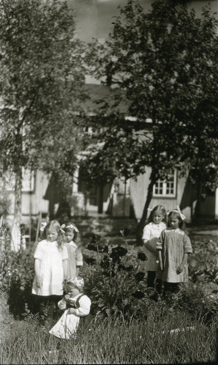 5 småpiker i hagen utenfor Jons, Galåsen. Sittende foran: Elfrid Galaasen g. Busk (31/5 1919). Stående bak, fra venstre: nr. 1 og 3: Grambakkjentene (?); Else Galaasen g. Bekken og Marte Galaasen g. Myklebø (døtre av Einar Galaasen, Jons). Nr. 2 og 4: Maalfrid Galaasen g. Hauge (21/2 1914) og Ingebjørg Galaasen g. Buflod (19/5 1915)