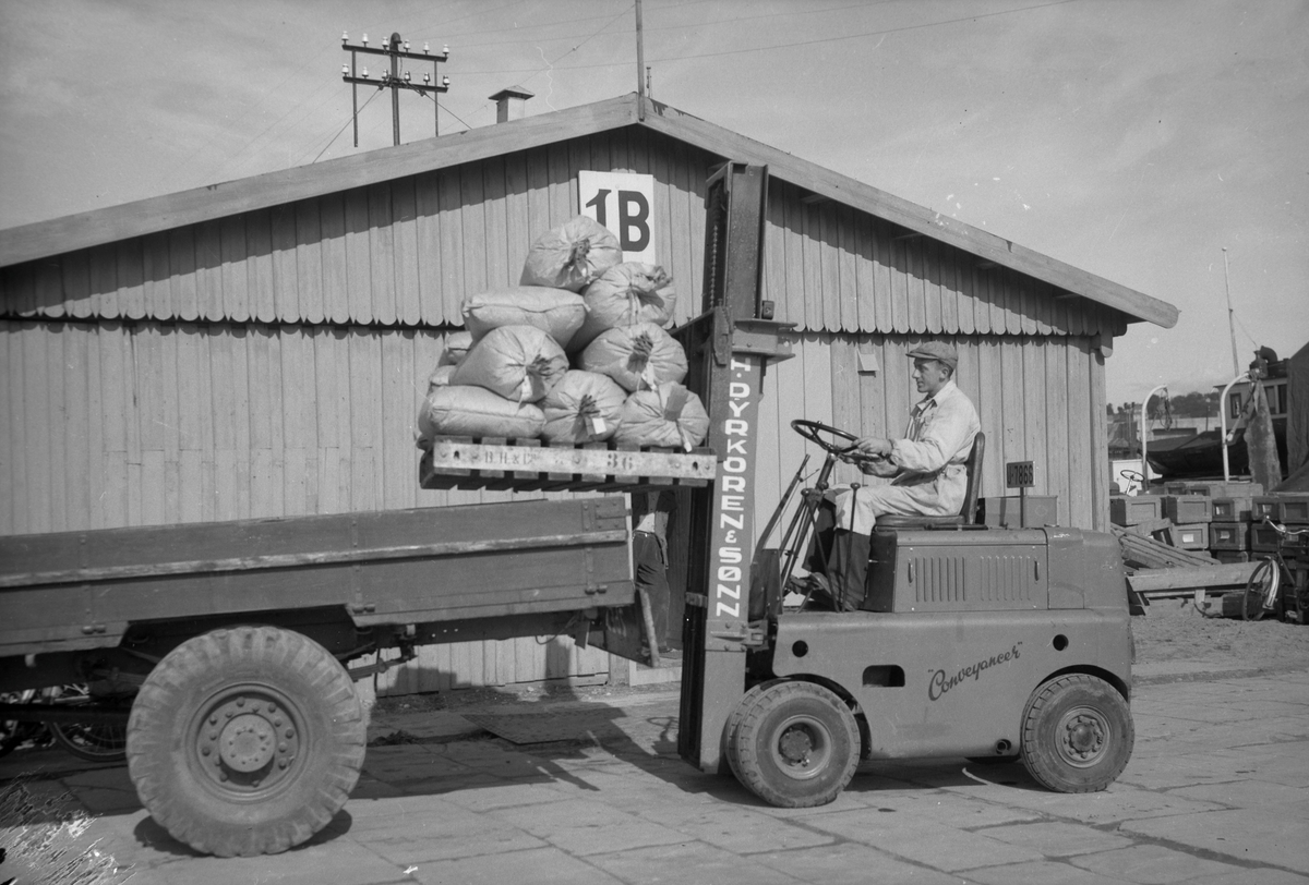 Firma H. Dyrkoren & Sønn, bruk av gaffeltruck
