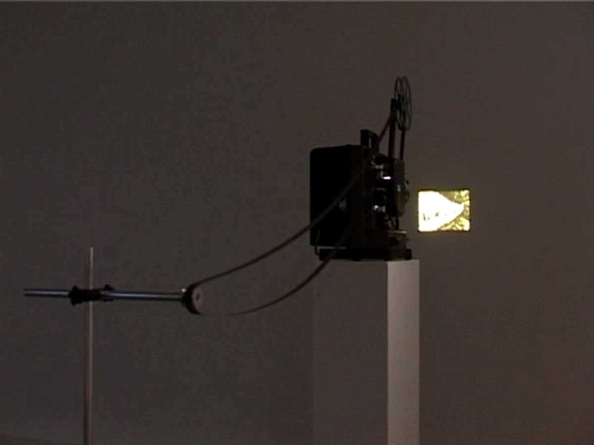 Down the Lane and Back Again [Film]