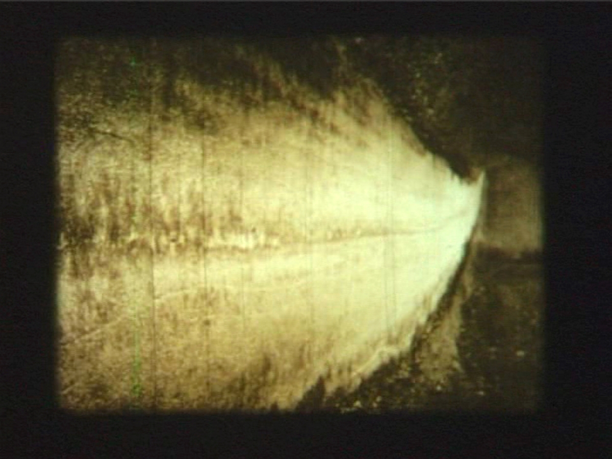 Down the Lane and Back Again [Film]