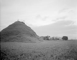 Norsk landbruks jubileumsutstilling 1959.  Menn og maskiner 