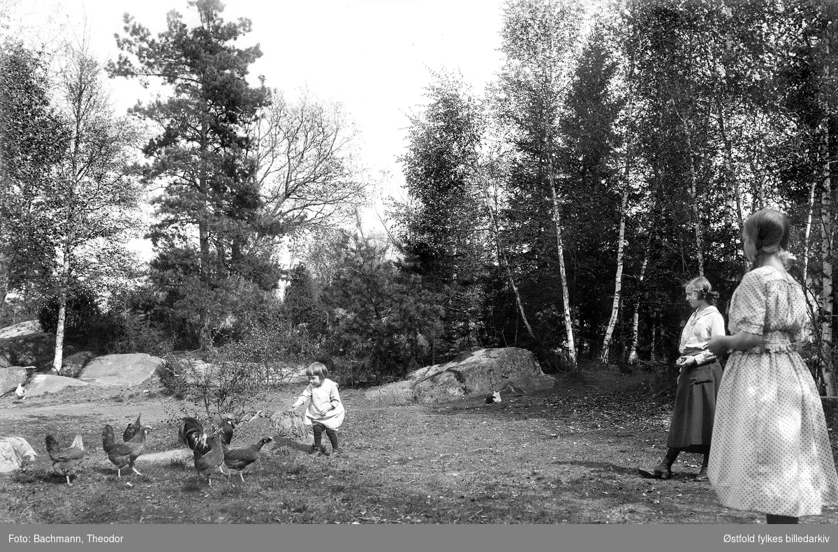 Barna til Marie og Theodor Bachmann mater høner. Kan det være Tjodvor F. 1905 til venstre og Brynhild og Hjørdis til høyre?