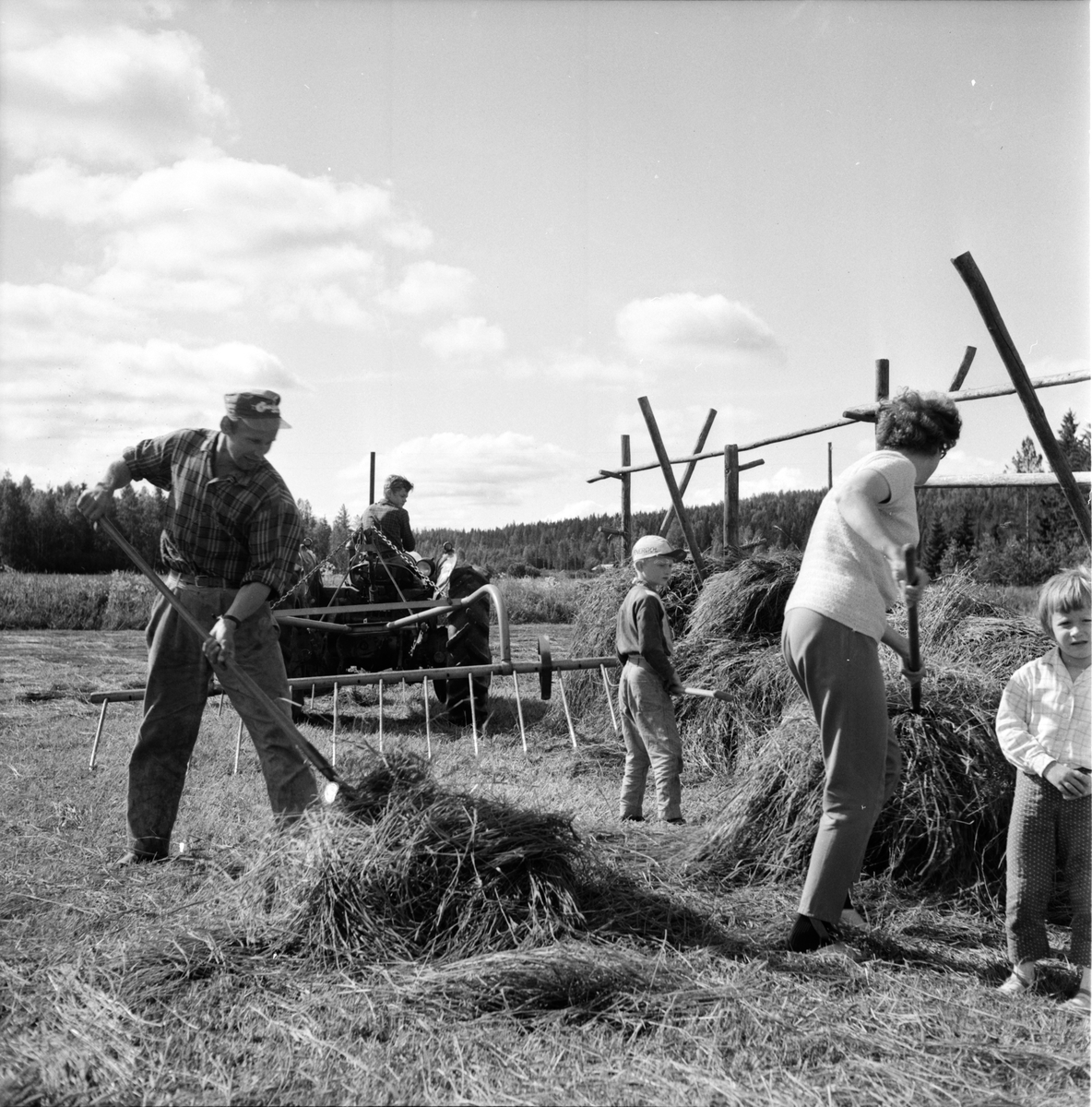 Hertsjö,
Olle Hansson slåttar,
1 Juli 1965