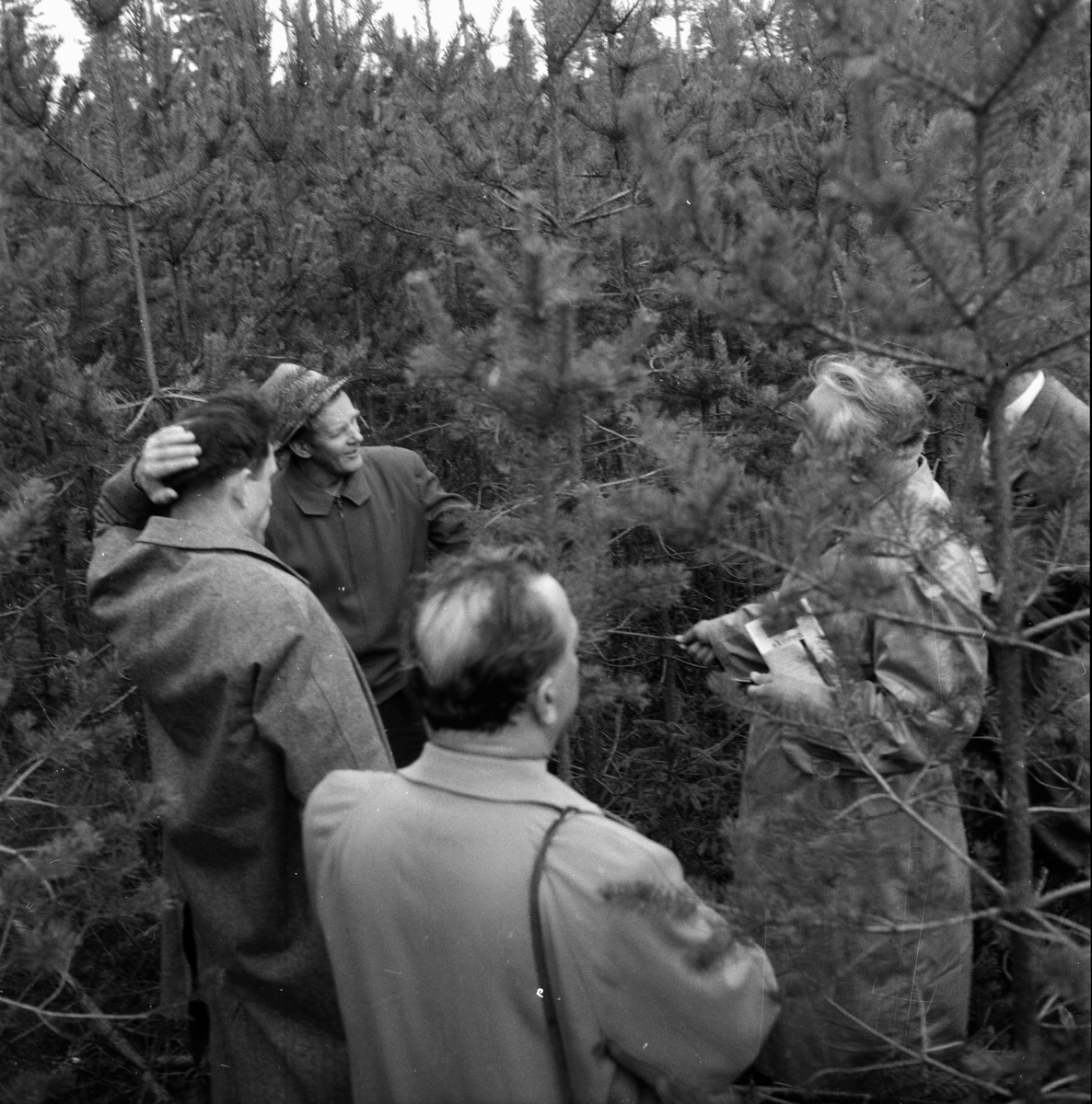 Ryska skogsmän på besök.
7/10 1958
