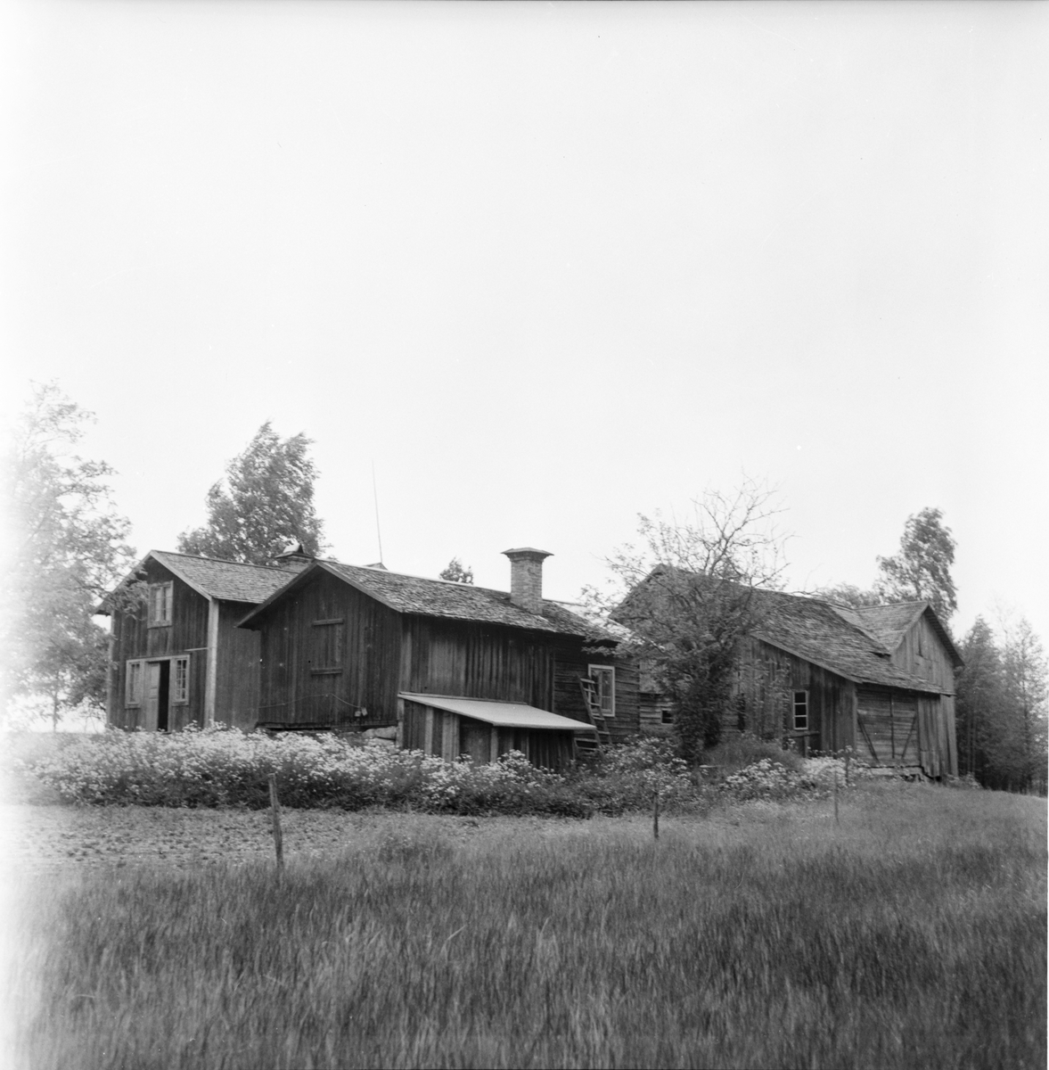 Småströmmarna.
By i Skog A. Boberg
3/7 1957