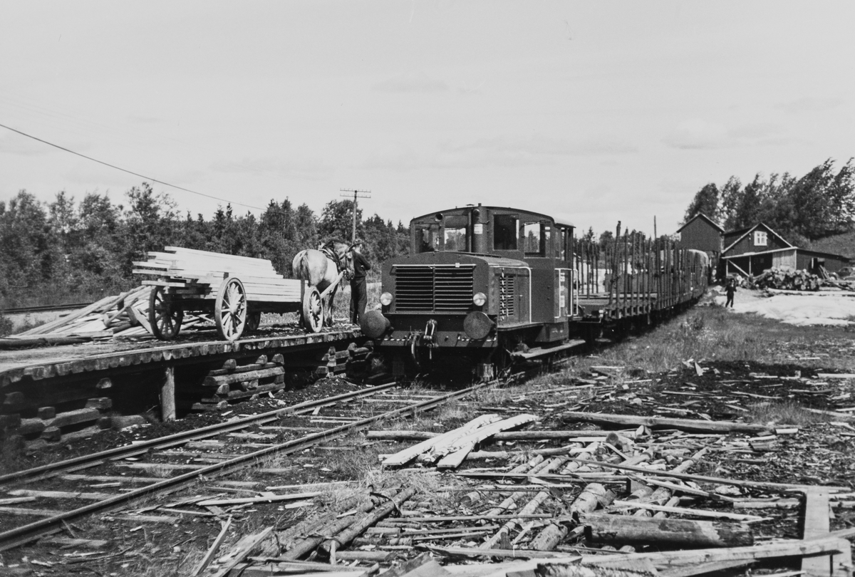 Kipptoget fra Skotterud ved lasterampen på Buåa stasjon på Vestmarkalinjen, eller Paradisbanen som den også ble kalt, siste driftsdag 10.07.1965.