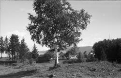 To bilder av gården Brunsberg på Kraby, Ø.Toten.