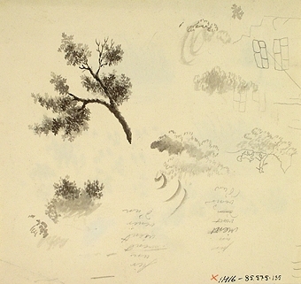 Teckning av delar av växter.

Enligt liggaren: 85575:1-189: Christine Zelows ritportfölj.