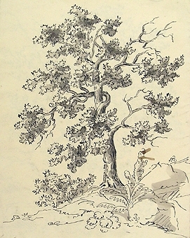 Teckning av träd på båda sidor av pappret.

Enligt liggaren: 85575:1-189: Christine Zelows ritportfölj.