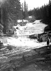 Fossefall i Mesnaelva.