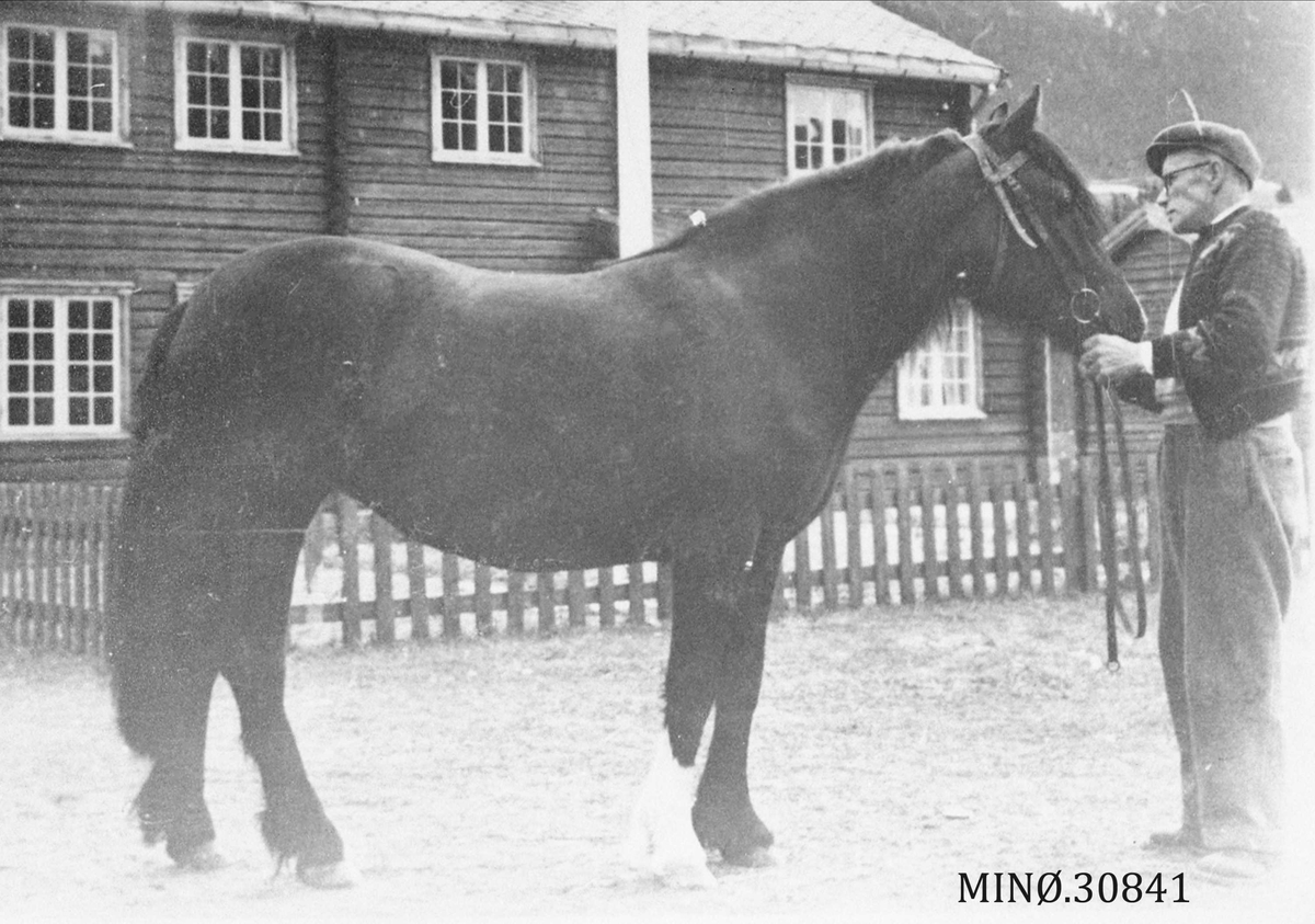 Mann Med Hest Anno Musea I Nord Østerdalen Digitaltmuseum 