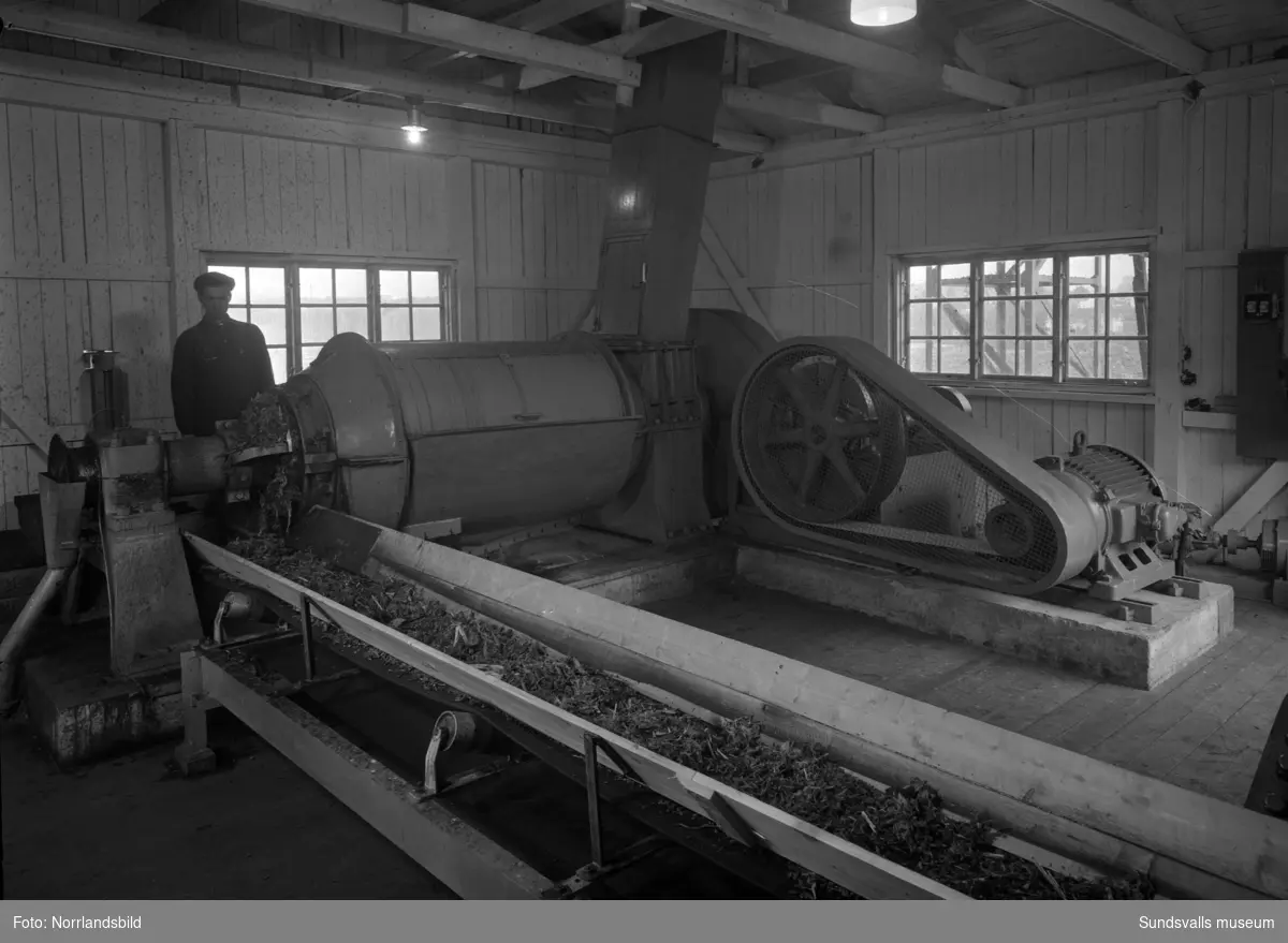 Maskiner i olika fabriker och verkstäder fotograferade åt Sundsvallsbolagen.