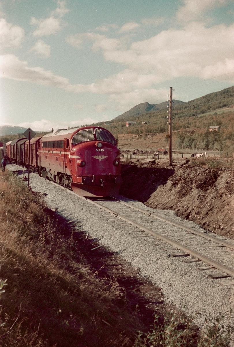 Godstog ved Myrplass holdeplass mellom Oppdal og Fagerhaug stasjoner på Dovrebanen. Toget trekkes av diesellokomotiv type Di 3 nr. 615.