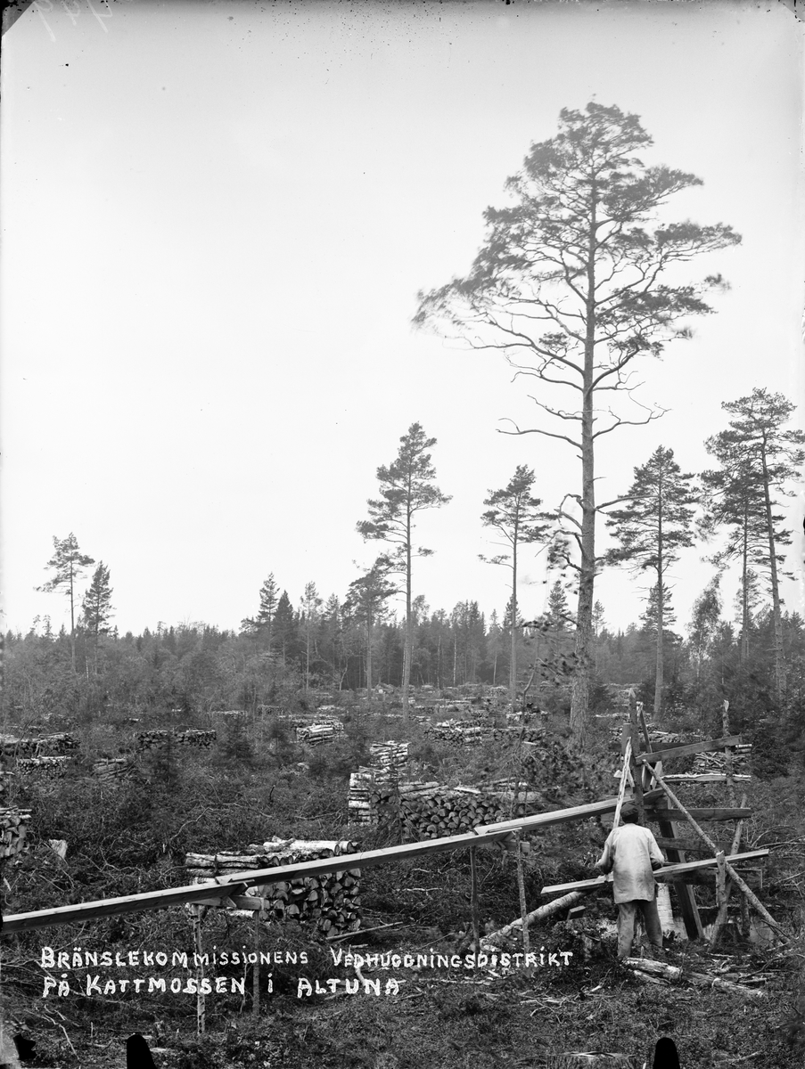 "Bränslekommissionens vedhuggningsdistrikt på Kattmossen i Altuna", Uppland 1917