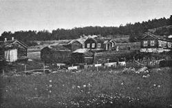 Gardsbruk. Furuhovde nordre