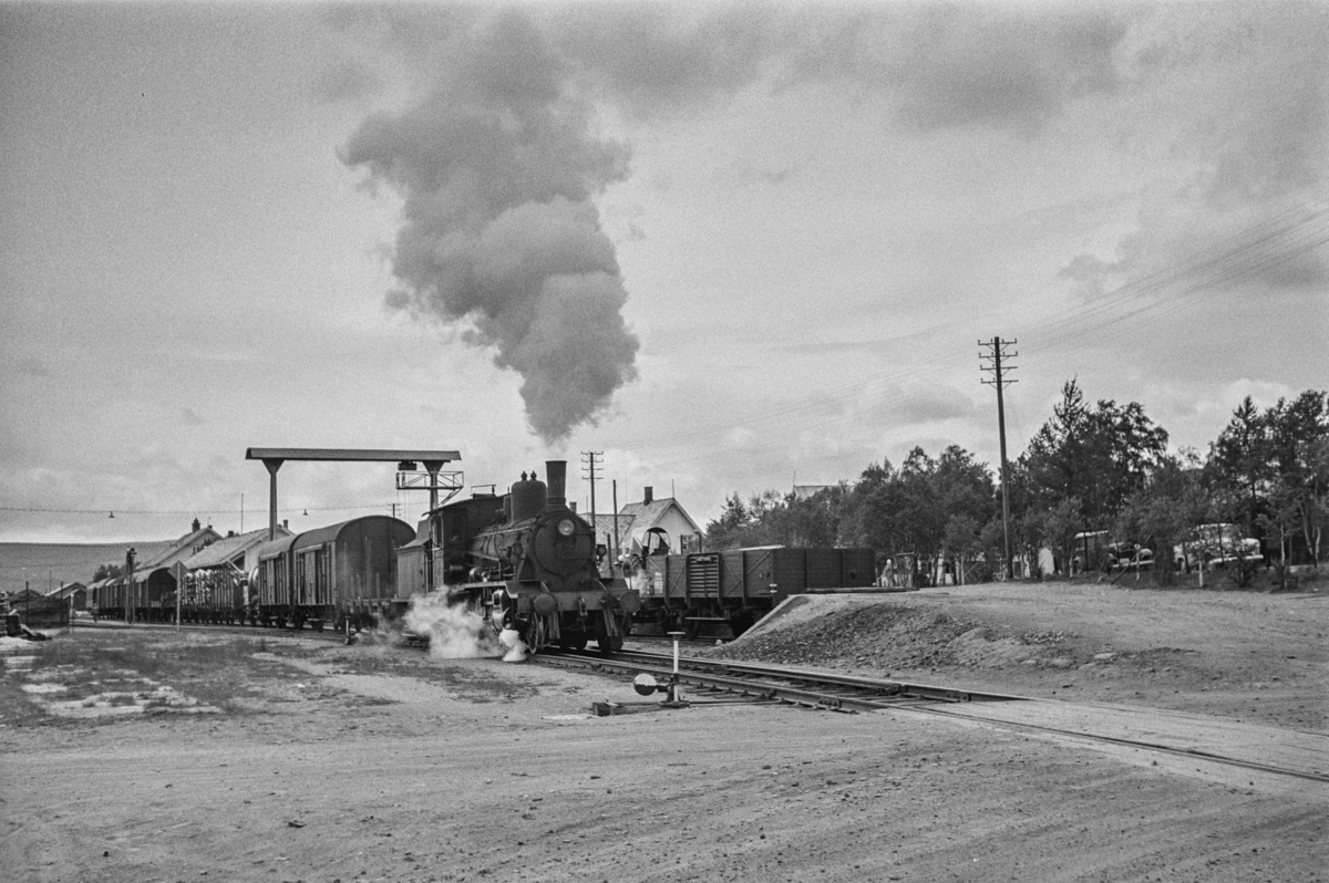 Damplokomotiv type 18c nr. 233 med sydgående godstog på Røros stasjon.