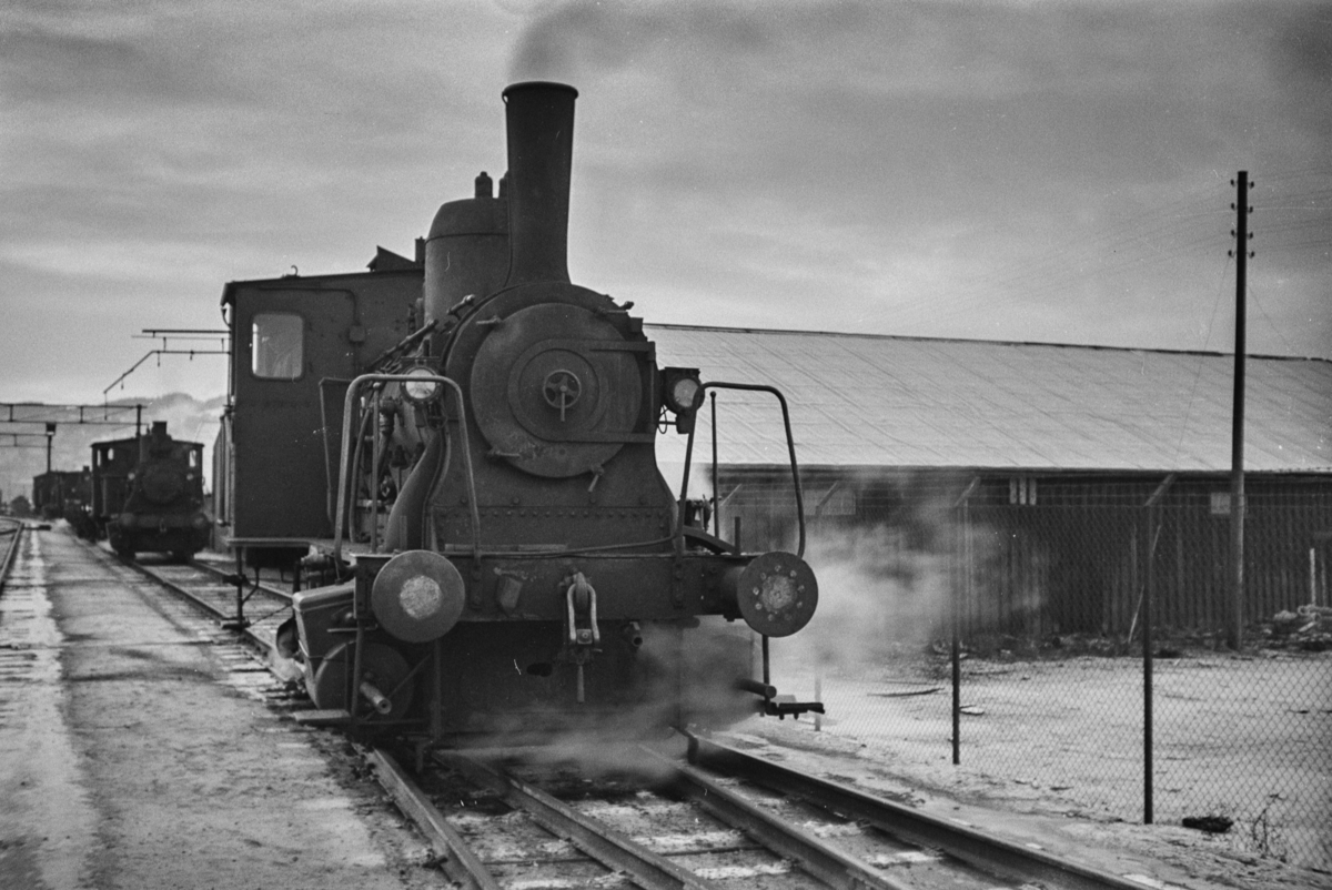 Damplokomotiv type 25e nr. 485 i skiftetjeneste på Trondheim stasjon, koblet sammen med en italiensk kjølevogn.