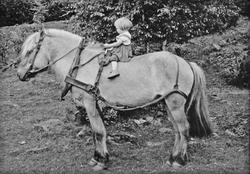 Lita jente på stor hest. Berit Nilsen