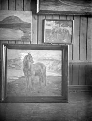 Malerier av hest på vegg