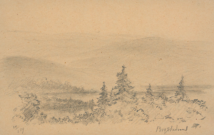 landskap naturskildringer